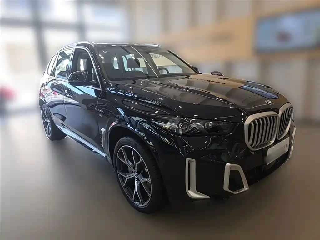 BMW X5 2023 xDrive 30Li Premium M Sport Package фото 7