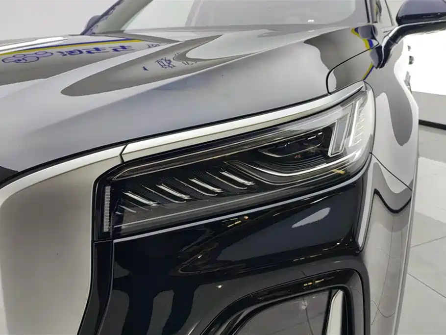 Hongqi HS5 2025 2.0T 2WD 600,000 Units Commemorative Edition фото 5