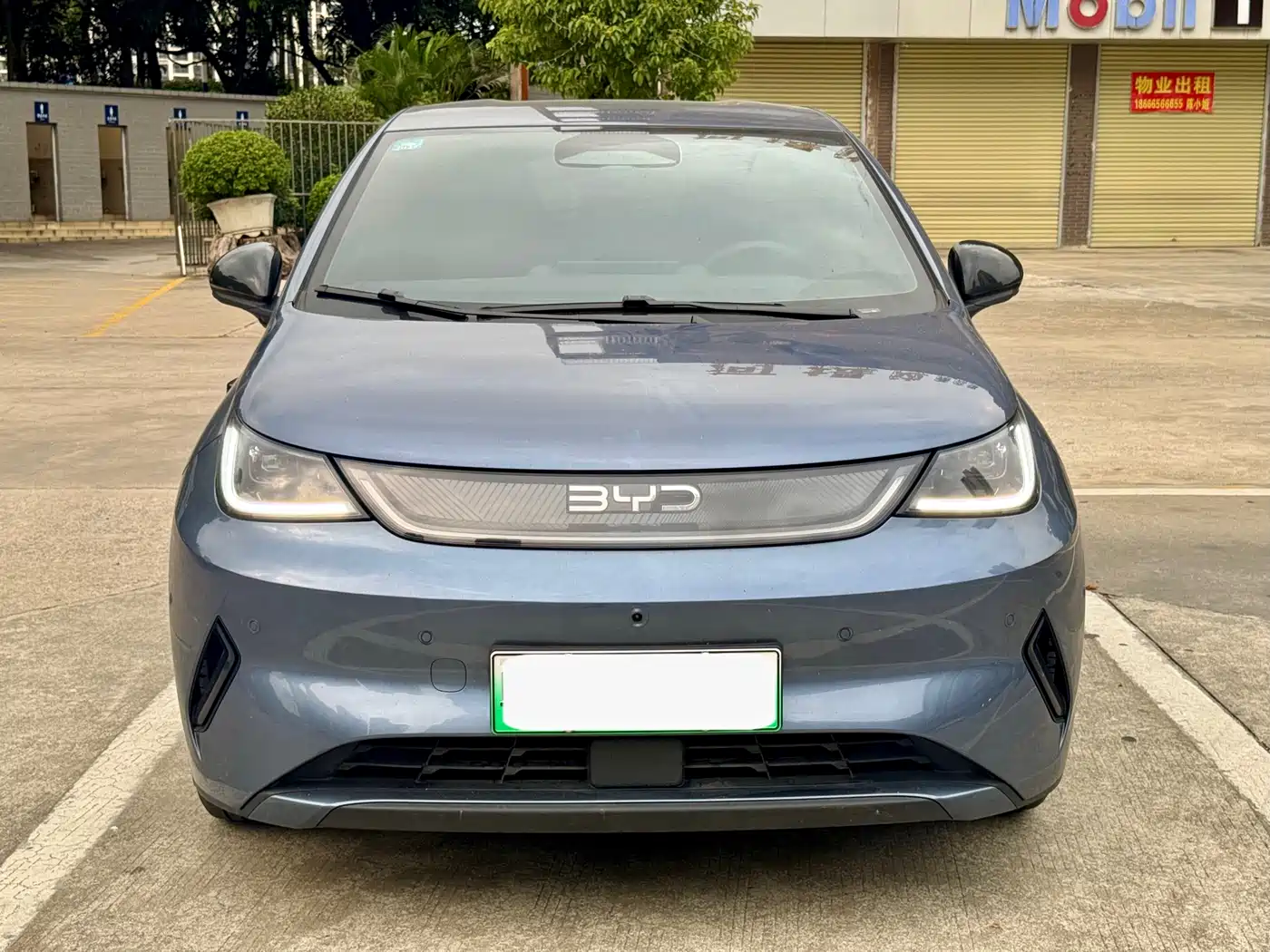 BYD DOLPHIN