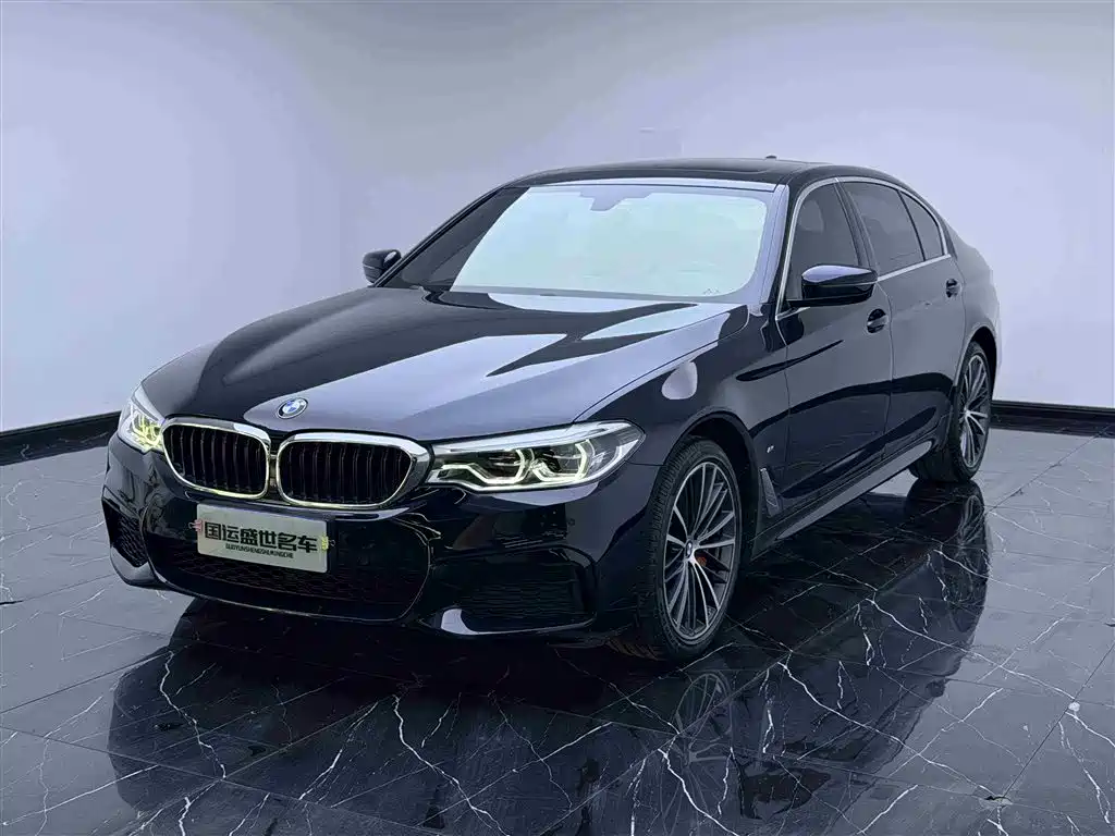 BMW 5 Series 2020 530Li Leading M Sport Package
