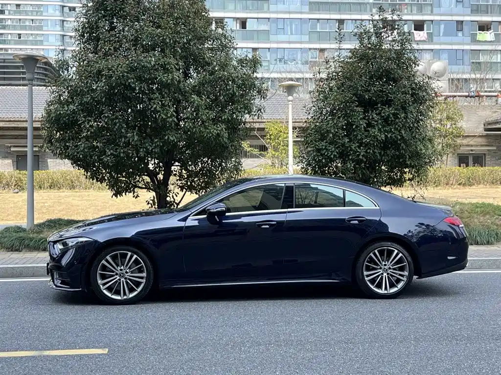 Mercedes-Benz CLS 2020 CLS 300 Dynamic фото 5