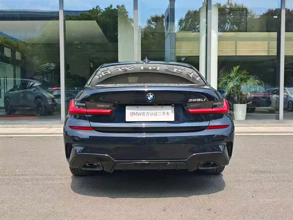 BMW 3 Series 2020 325Li M Sport Black Night Package фото 6