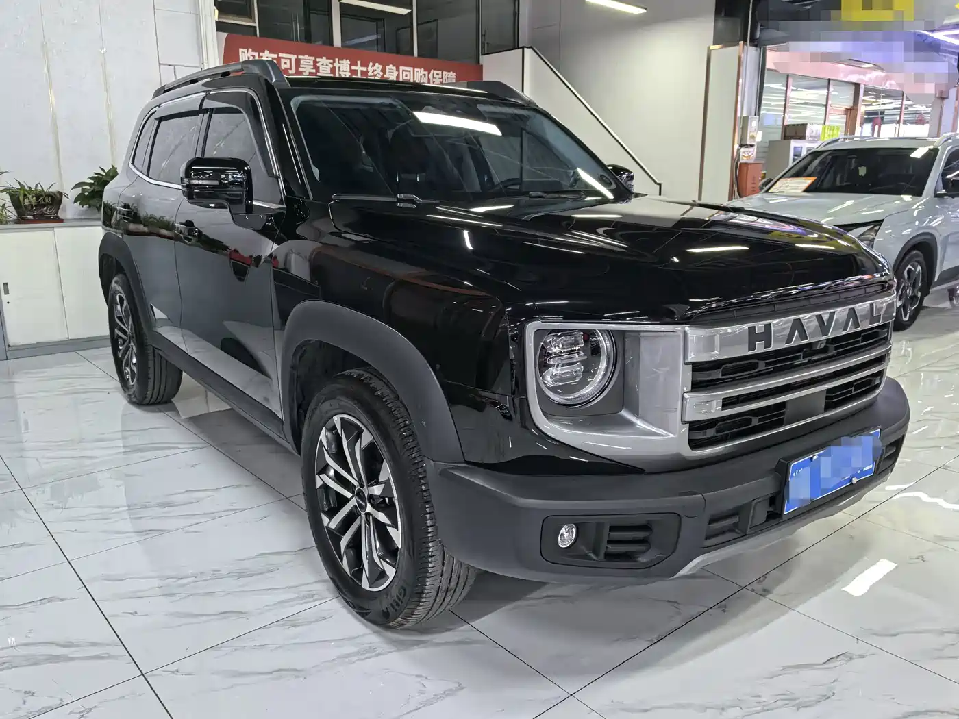 Haval Dargo 2024 2024 1.5T DCT Border Collie Edition