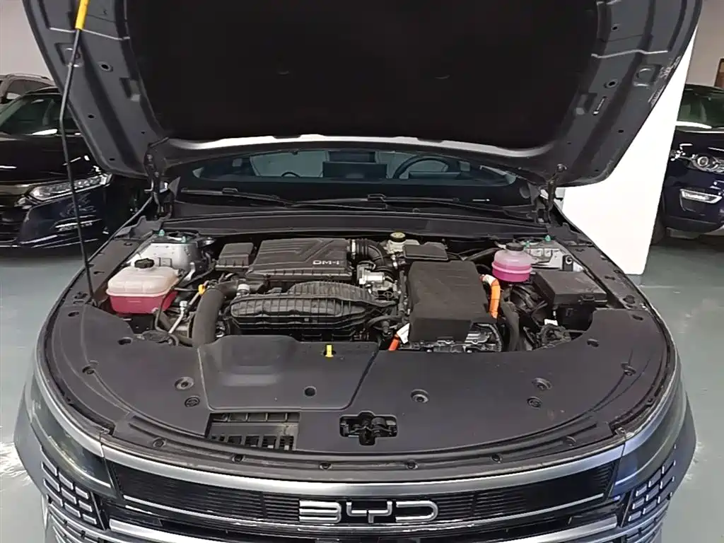 BYD Destroyer 05 2024 Glory Edition DM-i 55KM Luxury фото 20