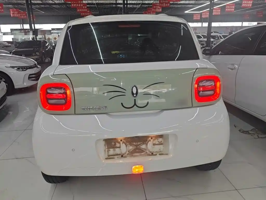 Ora Black Cat 2022 2022 351km Standard (NMC)