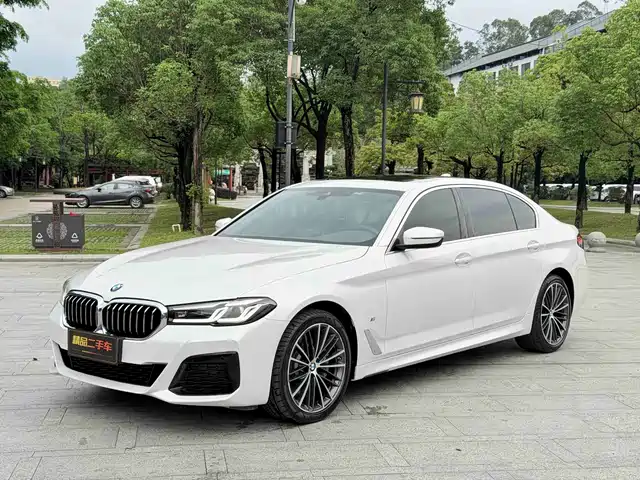 BMW 5 Рестайлинг, 530Li, Лидер, M Спорт-пакет