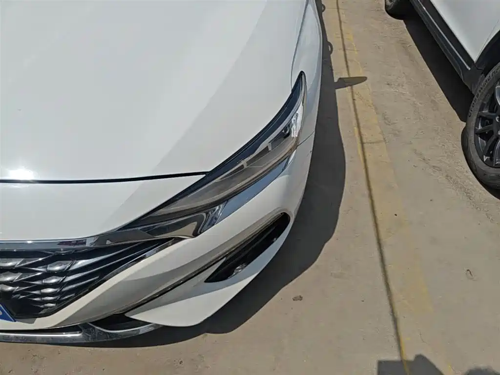 Фото 24 - Hyundai Lafesta