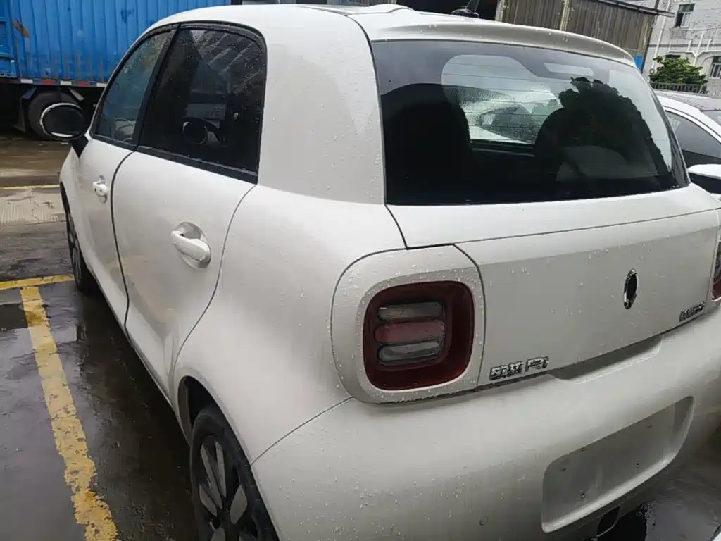 Ora Black Cat 2019 2019 Model 351km Smart Intelligence Edition