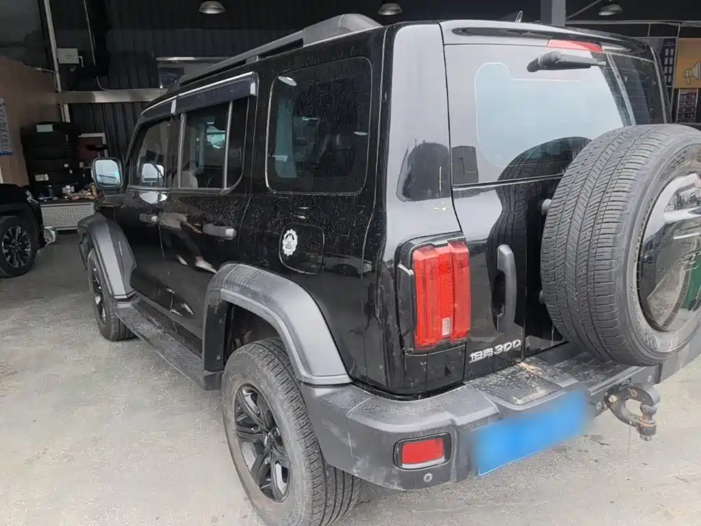 Tank 300 2021 2021 Off-road Edition 2.0T Challenger