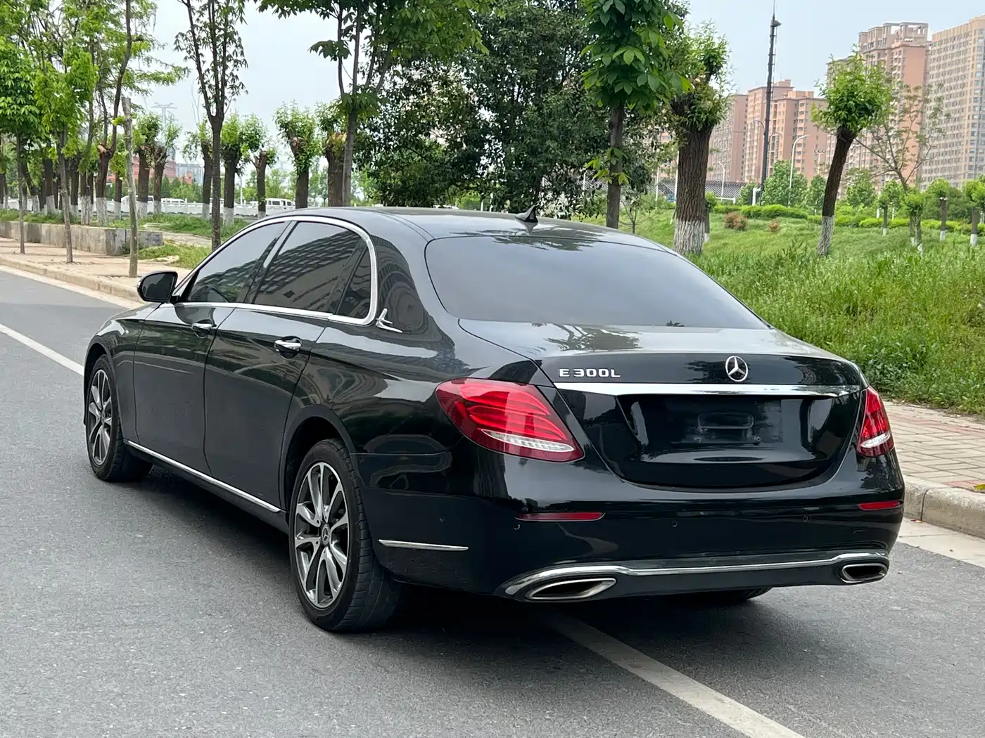 Mercedes-Benz E-Class 2017 E 300 L Luxury фото 6