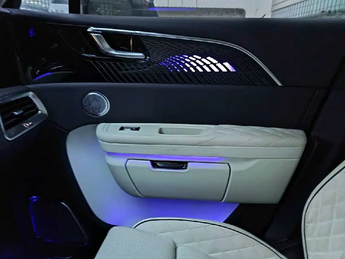 Hongqi E-HS9 2022 660km Qi Ling Edition (4-seater) фото 23