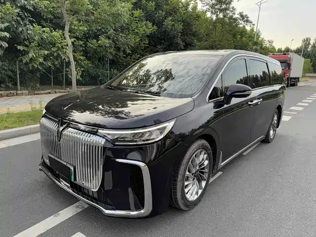  Voyah Auto Voyah Dreamer 2022 Low-carbon Dream+Smart Package