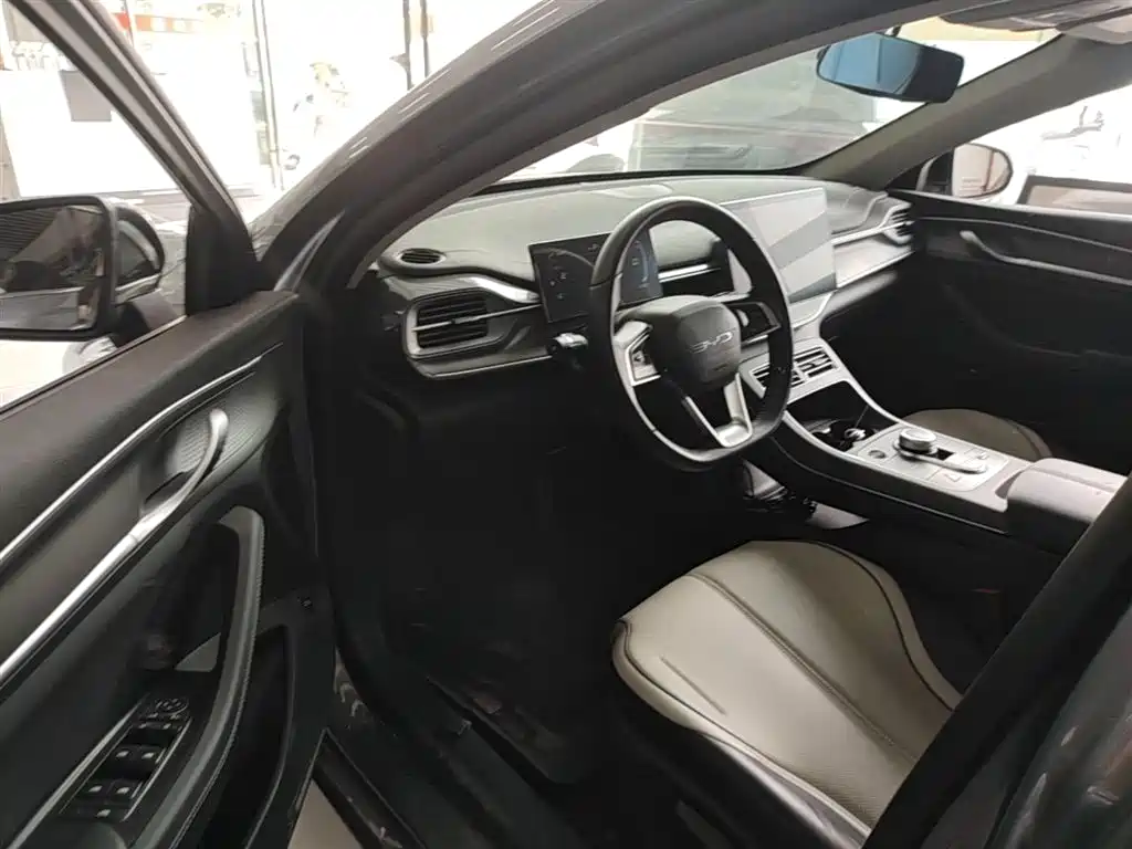 BYD Destroyer 05 2024 Glory Edition DM-i 55KM Luxury фото 15