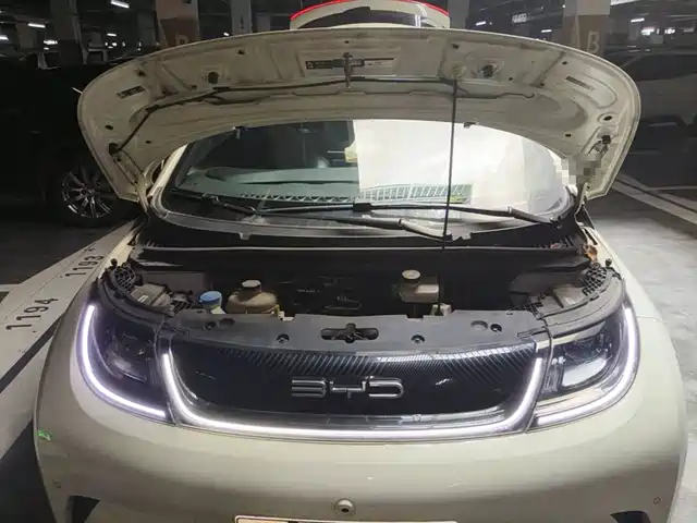 BYD Dolphin 2023 420km Fashion Edition — фото 3