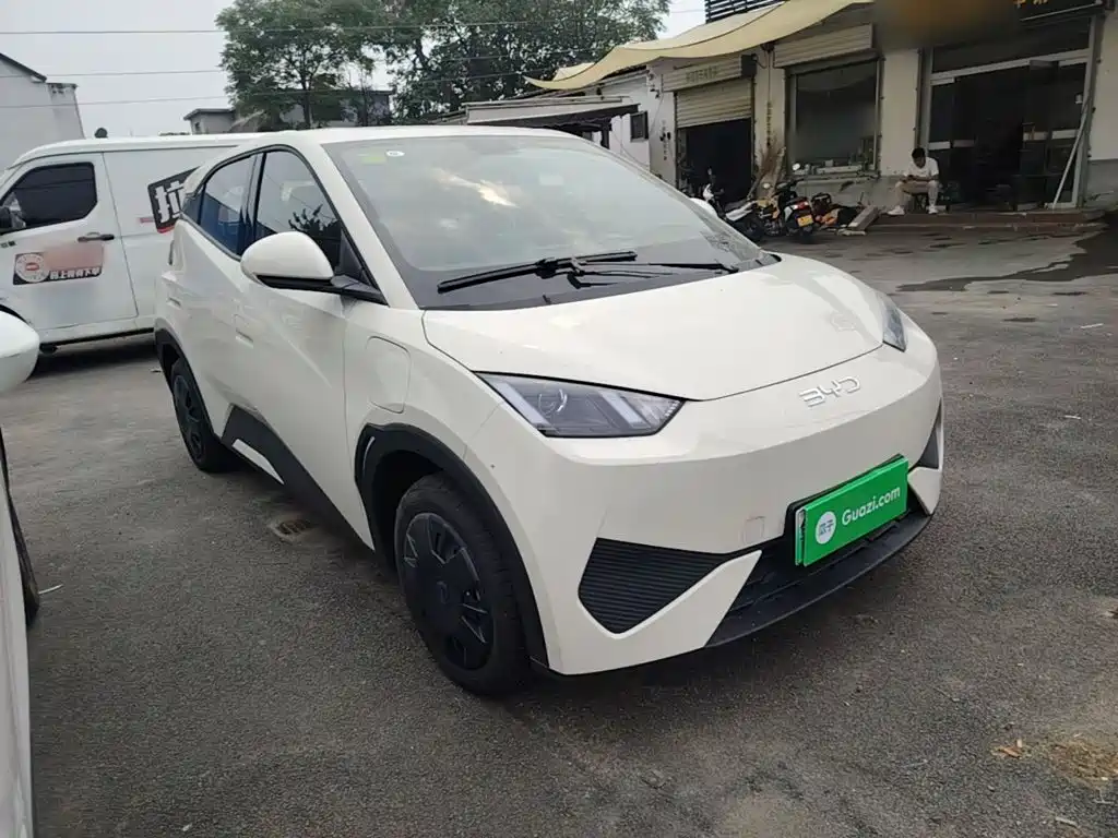 BYD Seagull 2026 2025 Smart Drive Edition 305km Vitality Version