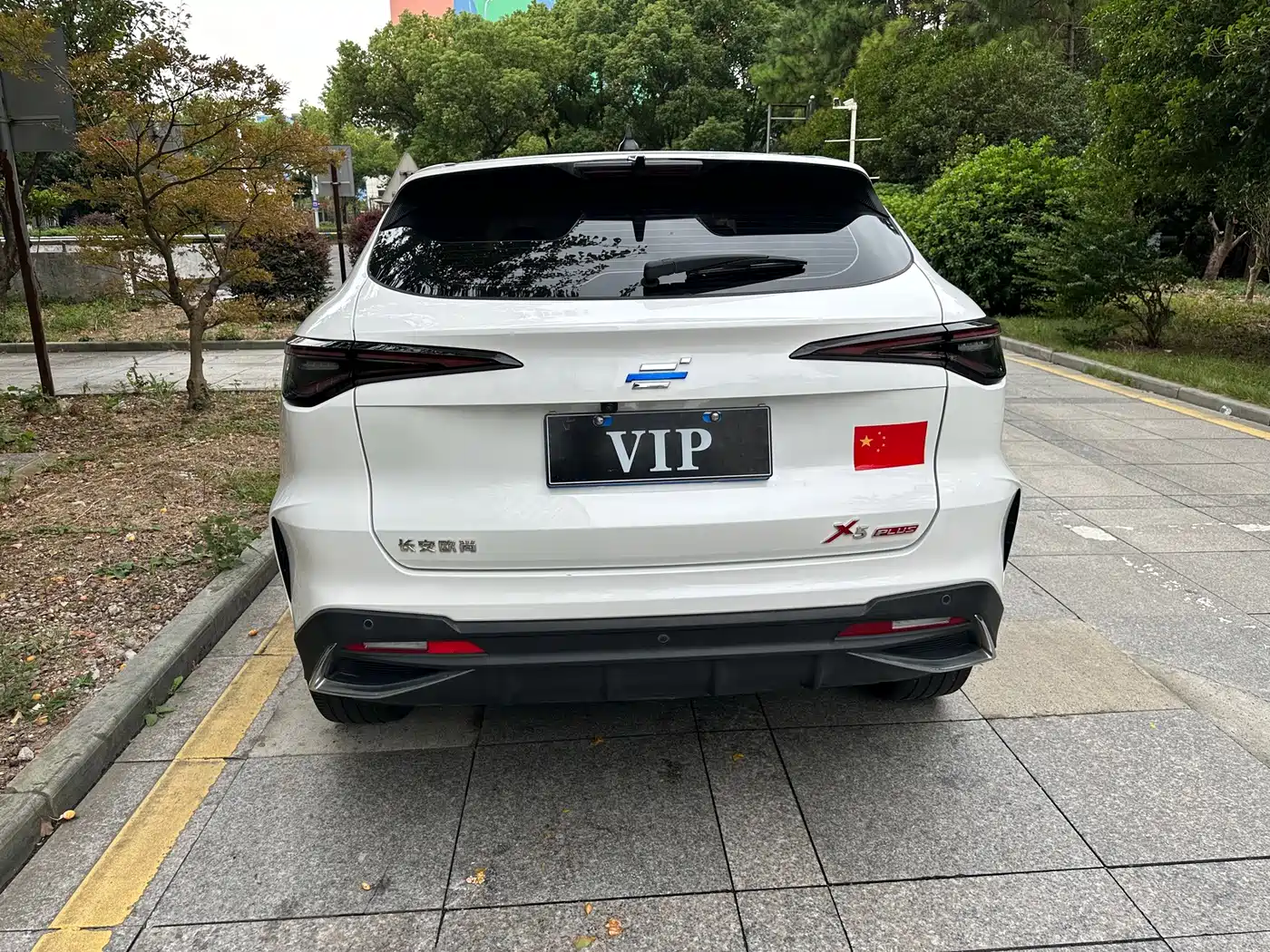 Changan Oshan X5 PLUS 2023 2023 1.5T DCT Pioneer