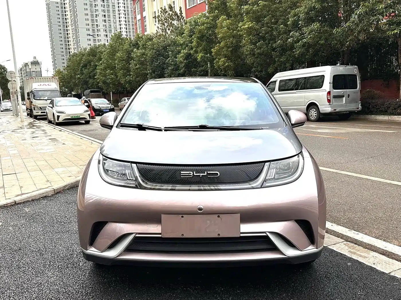 BYD DOLPHIN