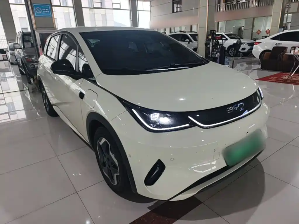BYD Dolphin 2026 2025 Smart Drive Edition 420km Freedom Version