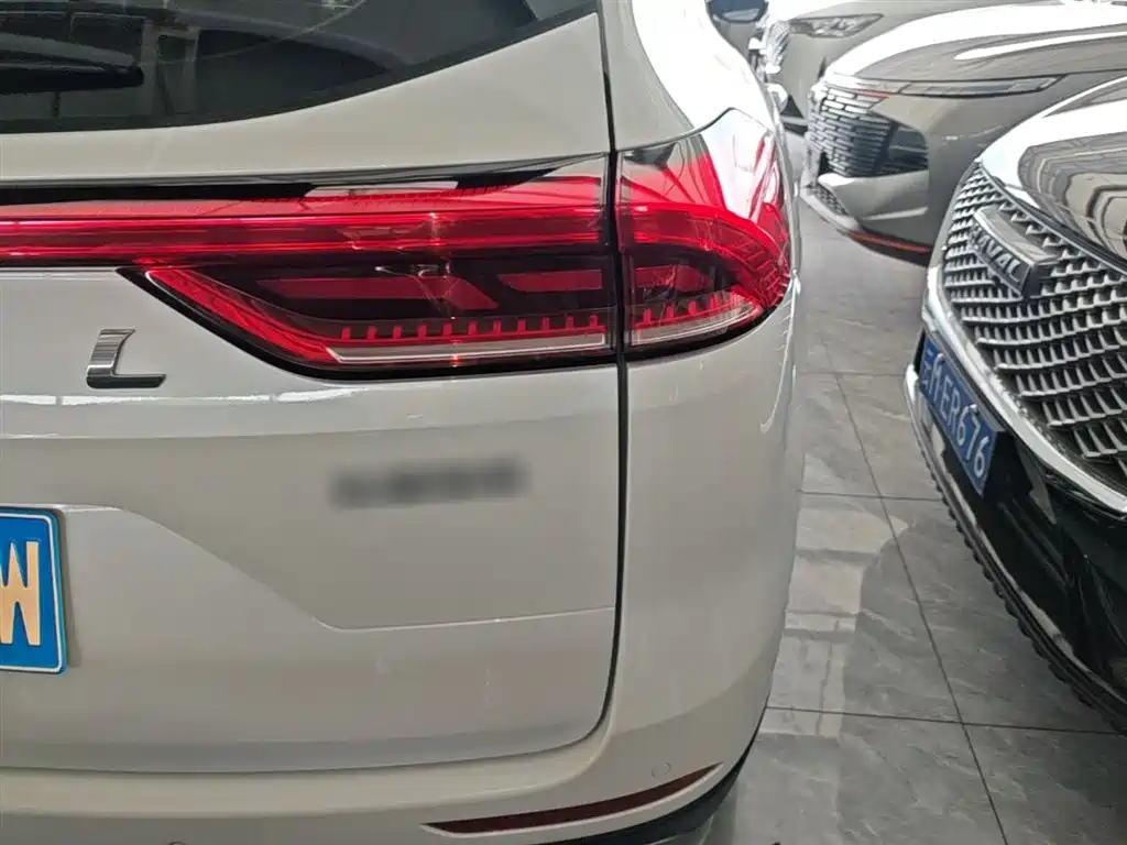 Haval H6 2021 Model National Trend Edition 1.5T Auto Champion фото 8