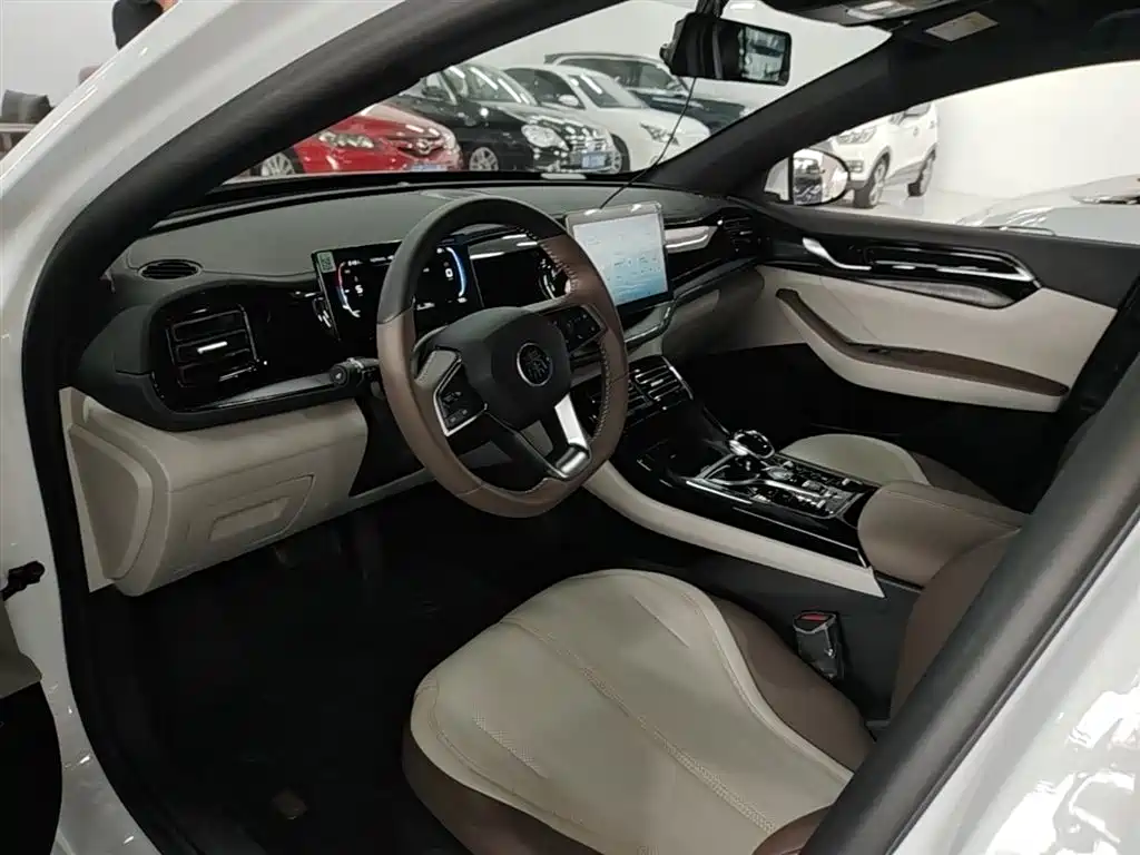 BYD Qin PLUS 2024 Glory Edition DM-i 55KM Leading фото 15