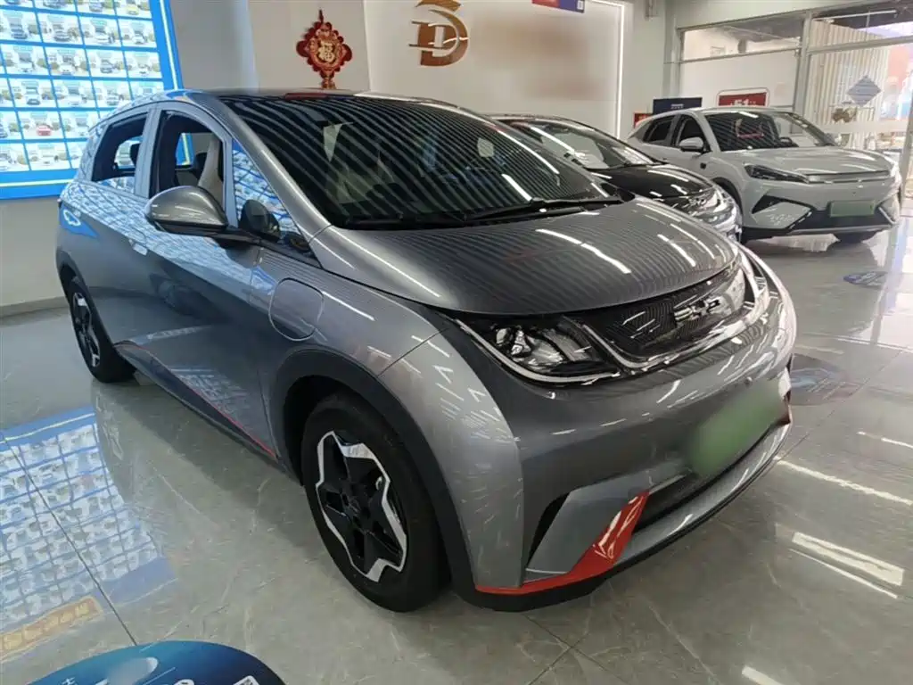 BYD Dolphin 2021 Model 405km Fashion Edition фото 4