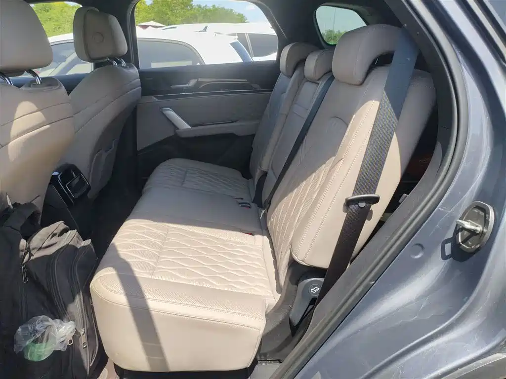 BYD Tang New Energy 2024 EV Champion Edition 730KM Premium фото 13