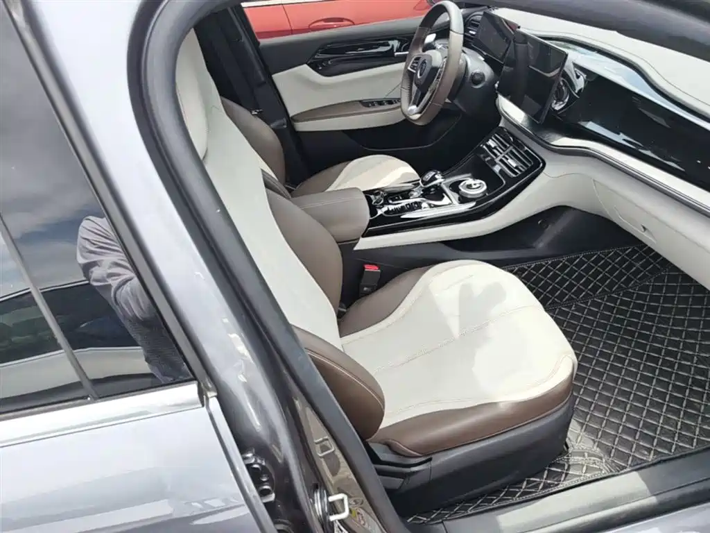 BYD Qin PLUS 2025 DM-i Smart Drive 55KM Leader фото 25