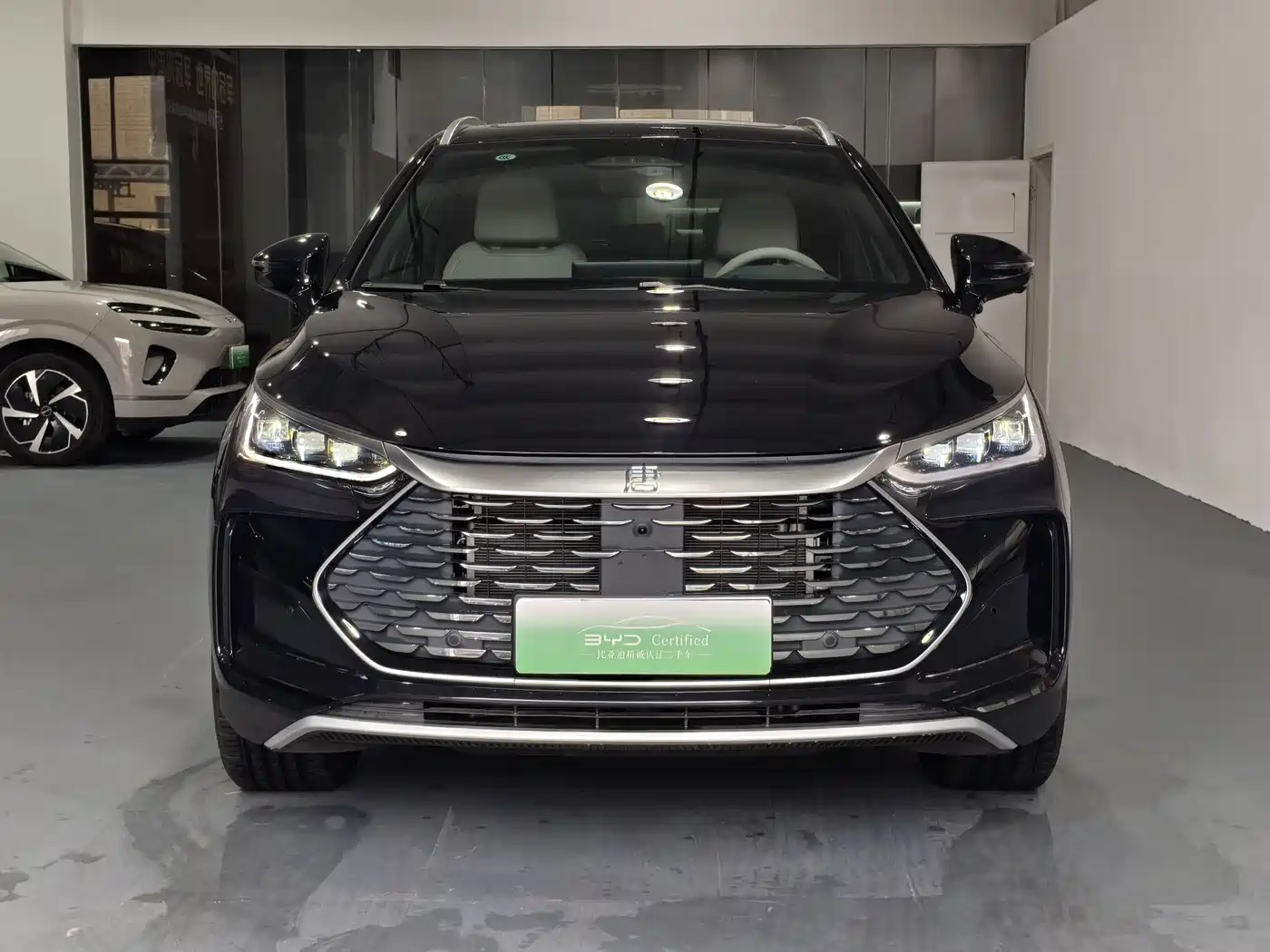 BYD Tang New Energy 2025 Smart Driving Edition DM-i 115KM Flagship фото 2