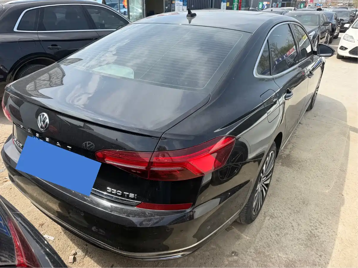 Volkswagen Passat 2020 330TSI Luxury Edition China VI фото 9