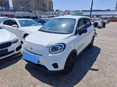 Leapmotor T03