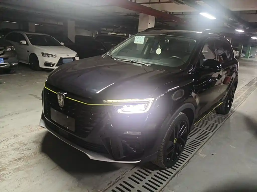 Фото 2 - Roewe RX5 New Energy