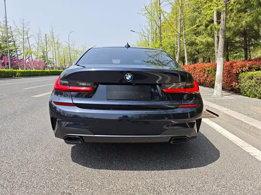 BMW 3 Series 2020 320Li M Sport Package фото 3