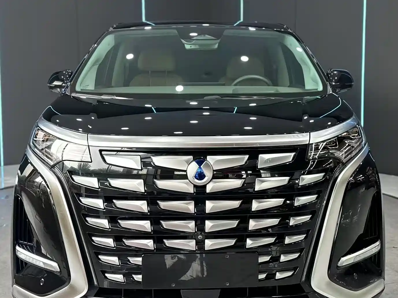 Denza D9 2022 DM-i 970 AWD Flagship фото 2