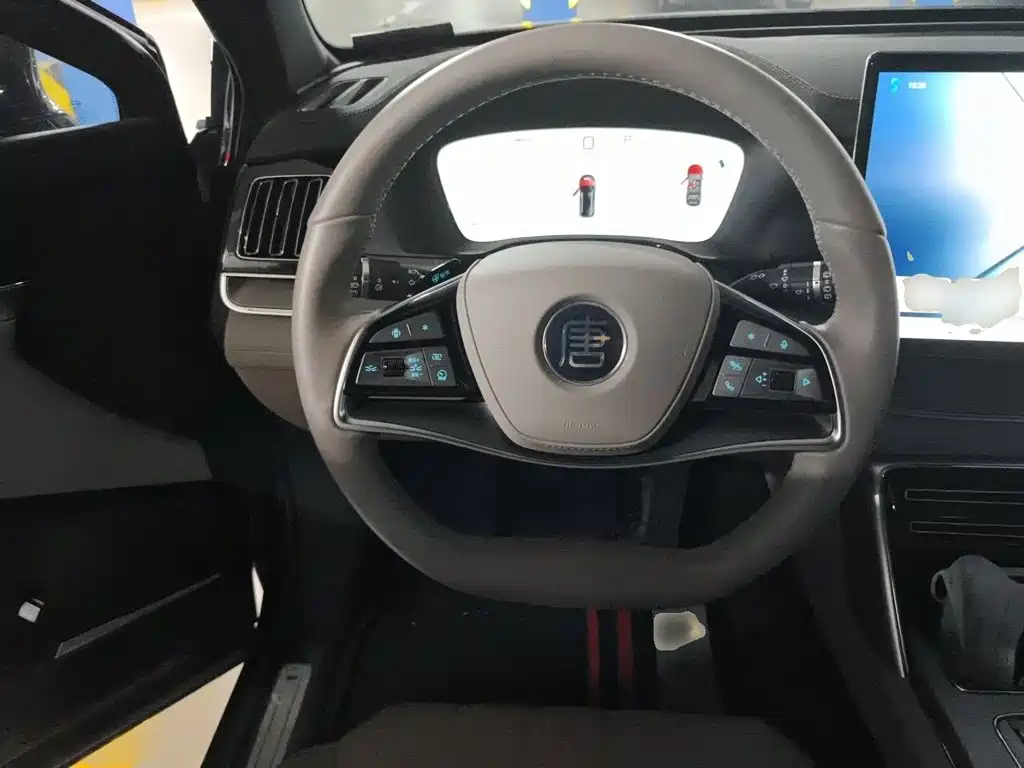 BYD Tang New Energy 2025 2025 Smart Driving Edition DM-i 115KM Premium
