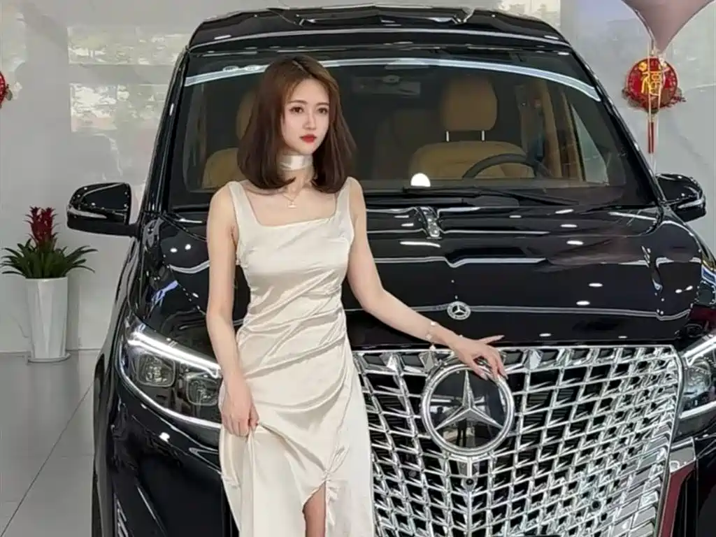 Lili Auto Vito 2025, Starlight Series 2.0T 7-Seater — автомобиль под заказ из Китая, фото 10