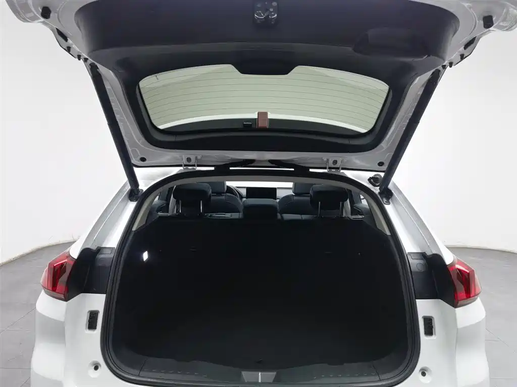 WEI PAI WEI BRAND VV5