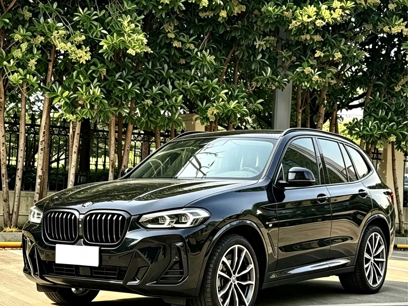 BMW X3 2022 xDrive30i Leading M Night Package