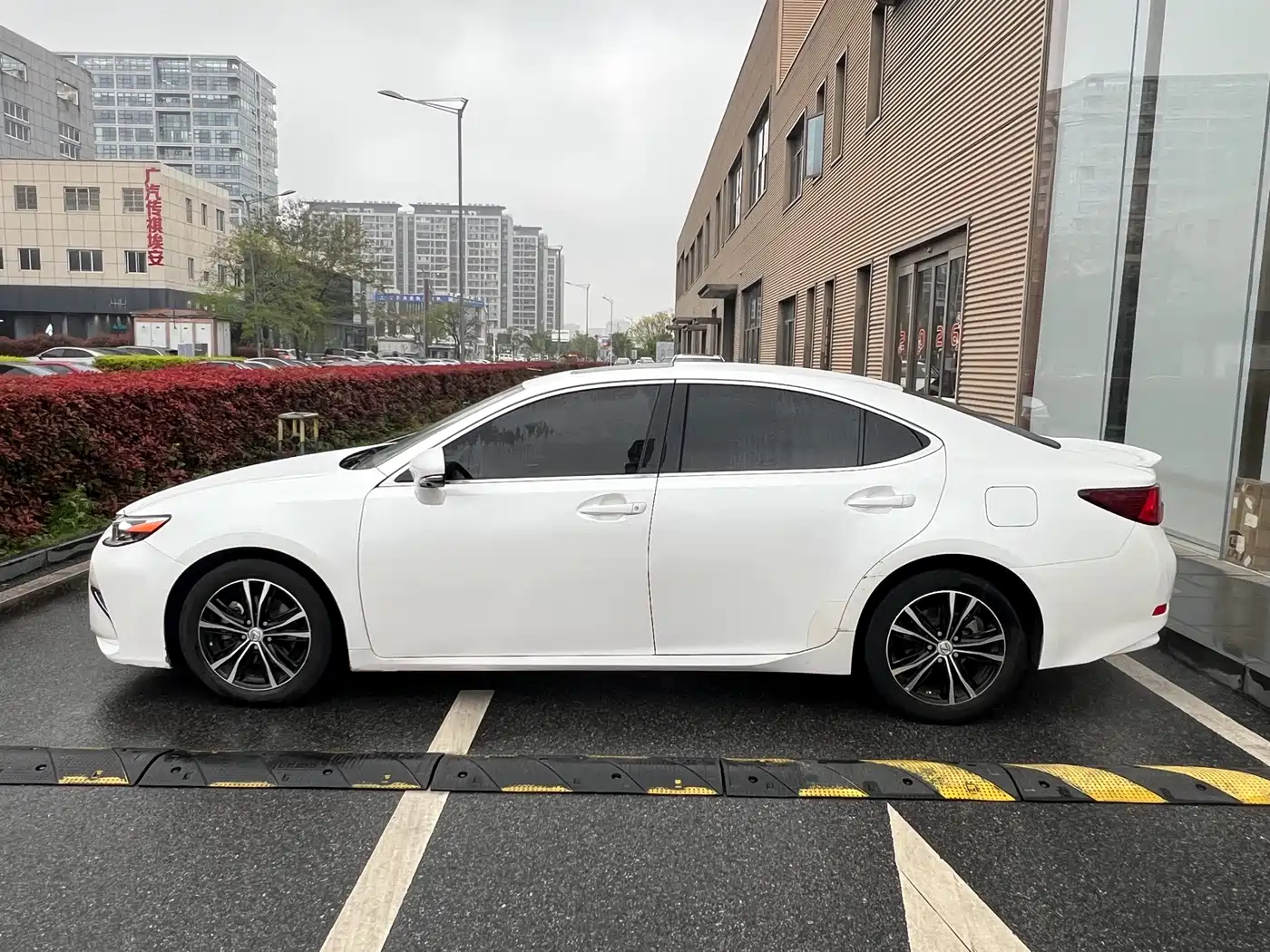 Lexus ES 2015 200 Elite Edition фото 4