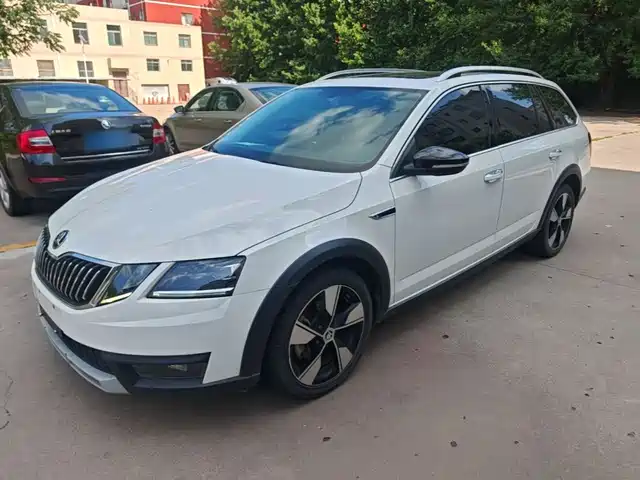  Škoda Octavia 2019 Wagon TSI280 DSG Luxury Edition China VI