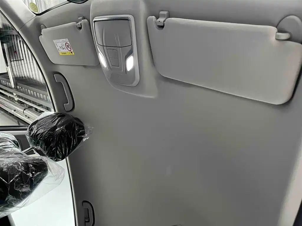 SKYWORTH AUTO SKYWORTH EV6