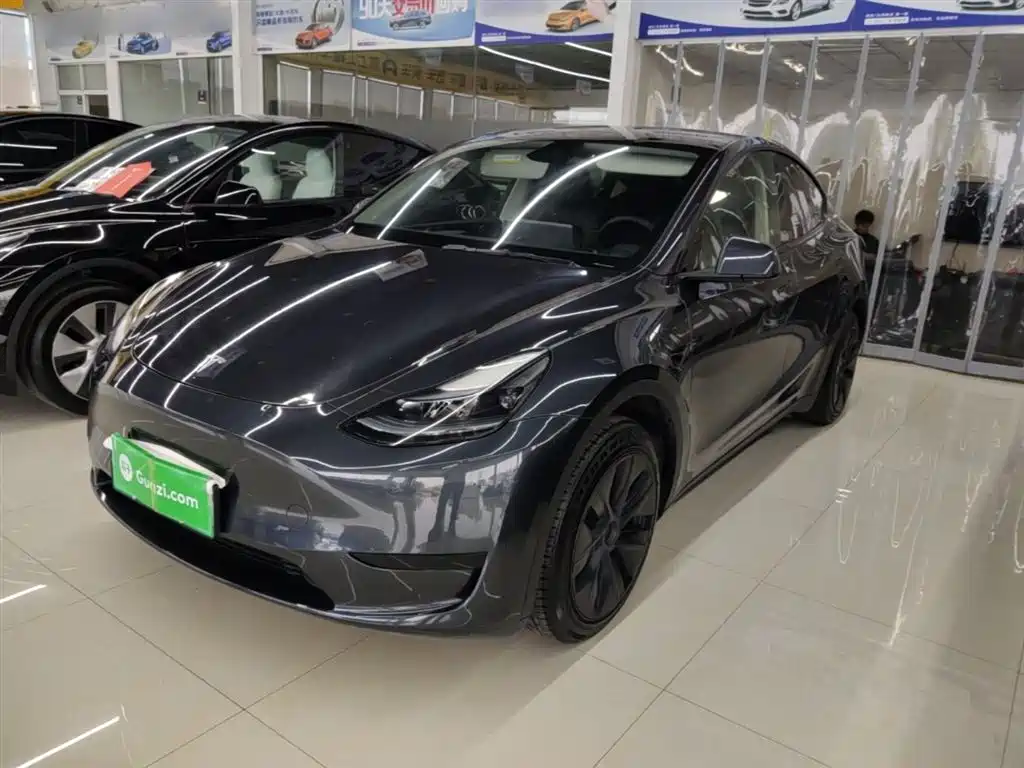 Tesla Model Y 2024 Rear-Wheel Drive Version