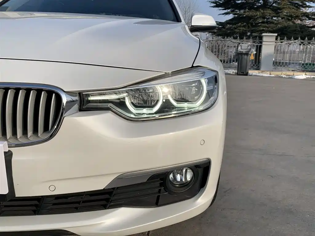 BMW 3 Series 2019 320Li Fashion Type фото 7
