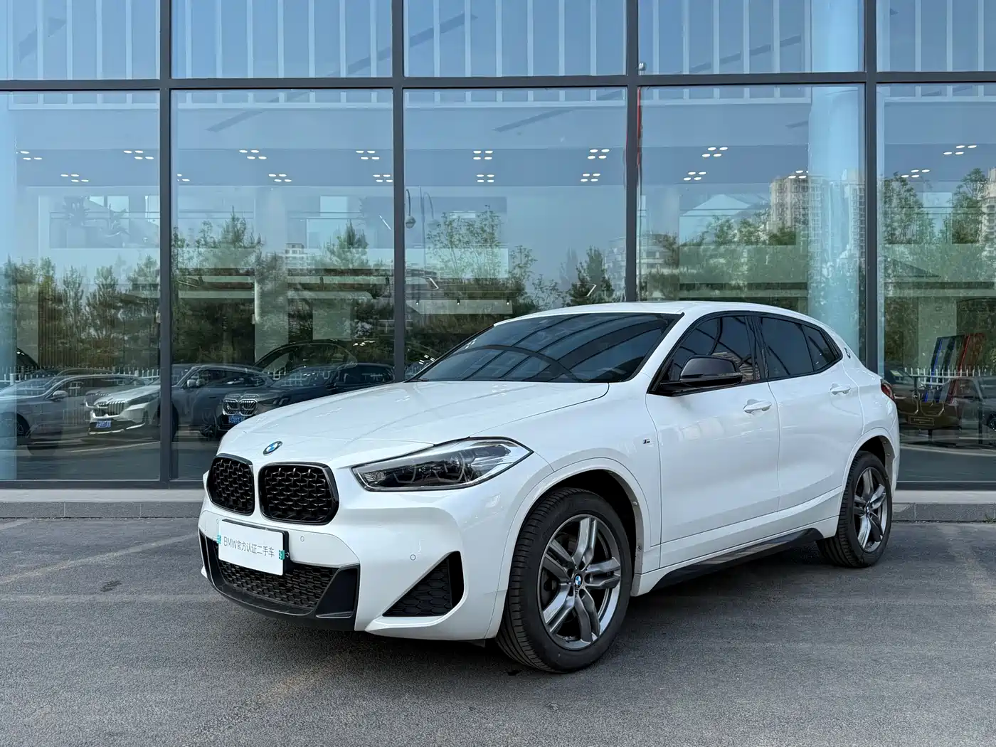 BMW X2