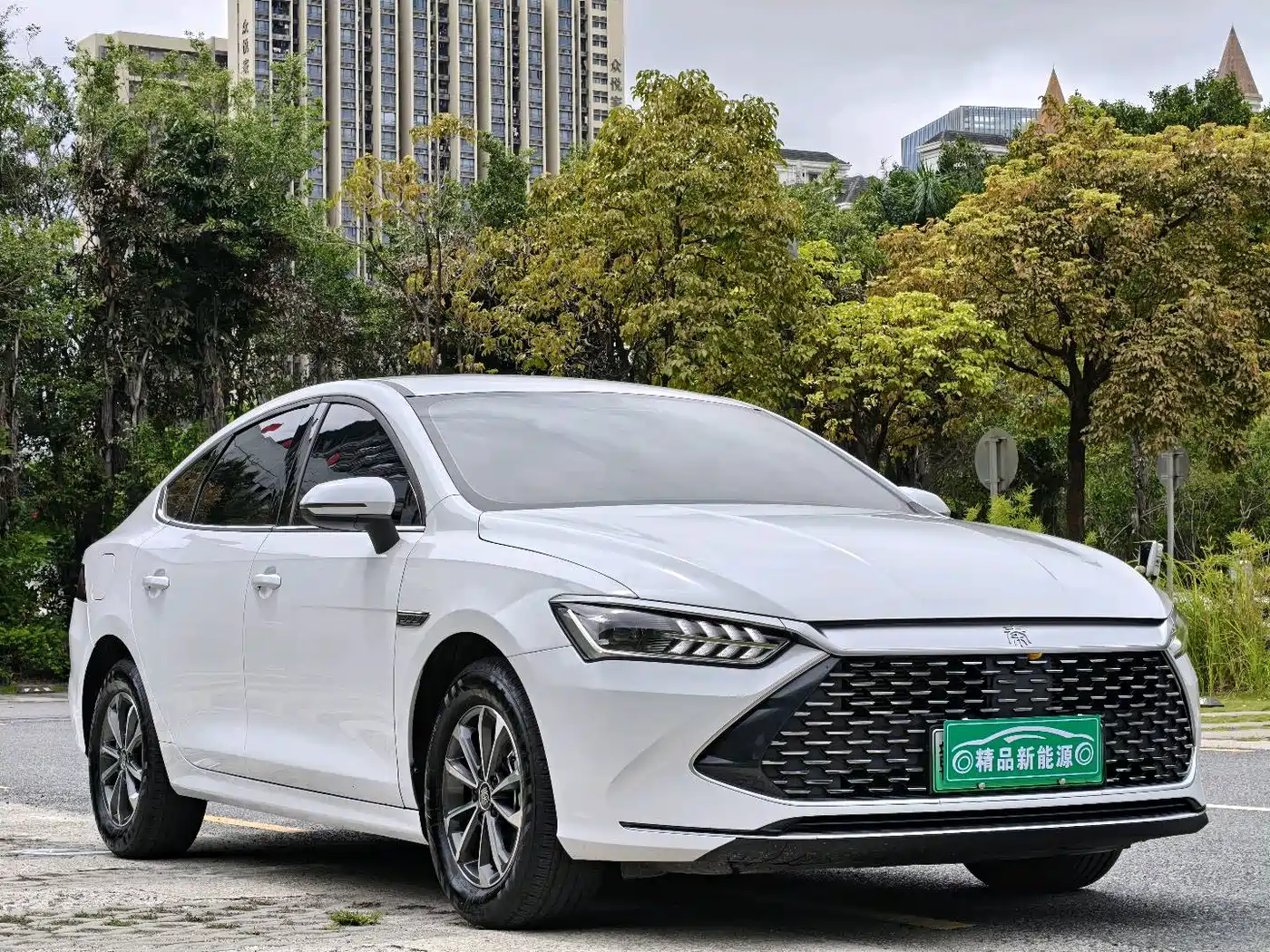 BYD Qin PLUS 2024 Glory Edition DM-i 55KM Leading фото 3