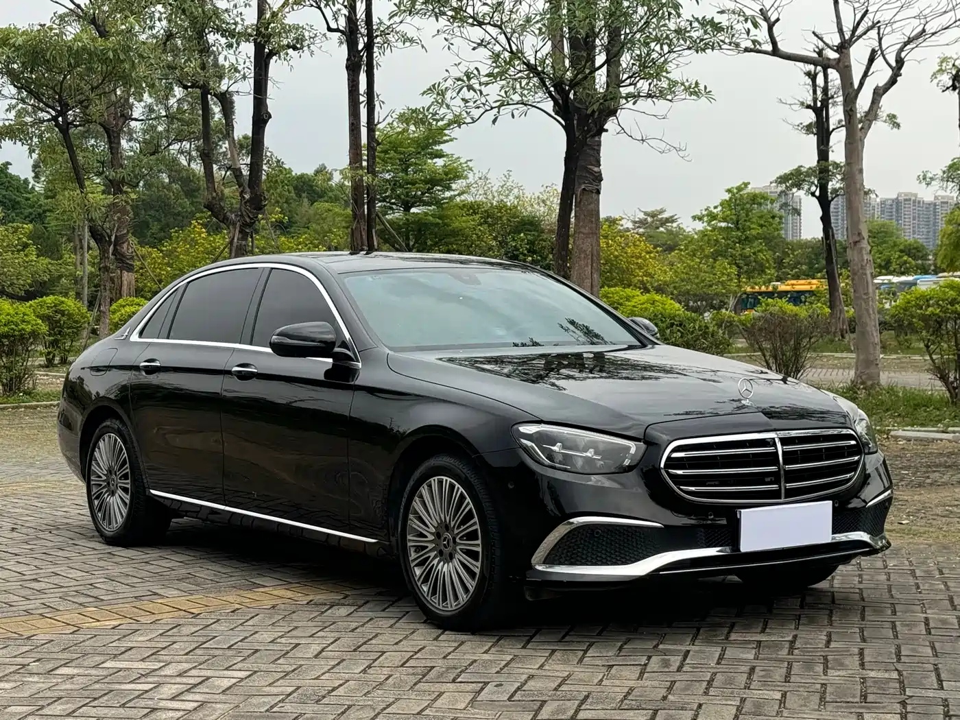 Mercedes-Benz E-Class 2023 E 300 L Luxury фото 3