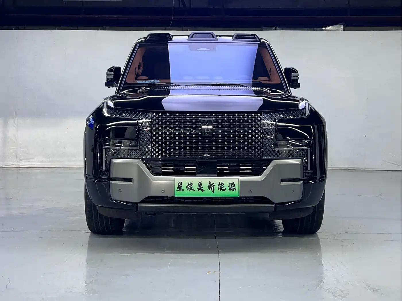 Yangwang U8 2024 2023 Luxury Edition