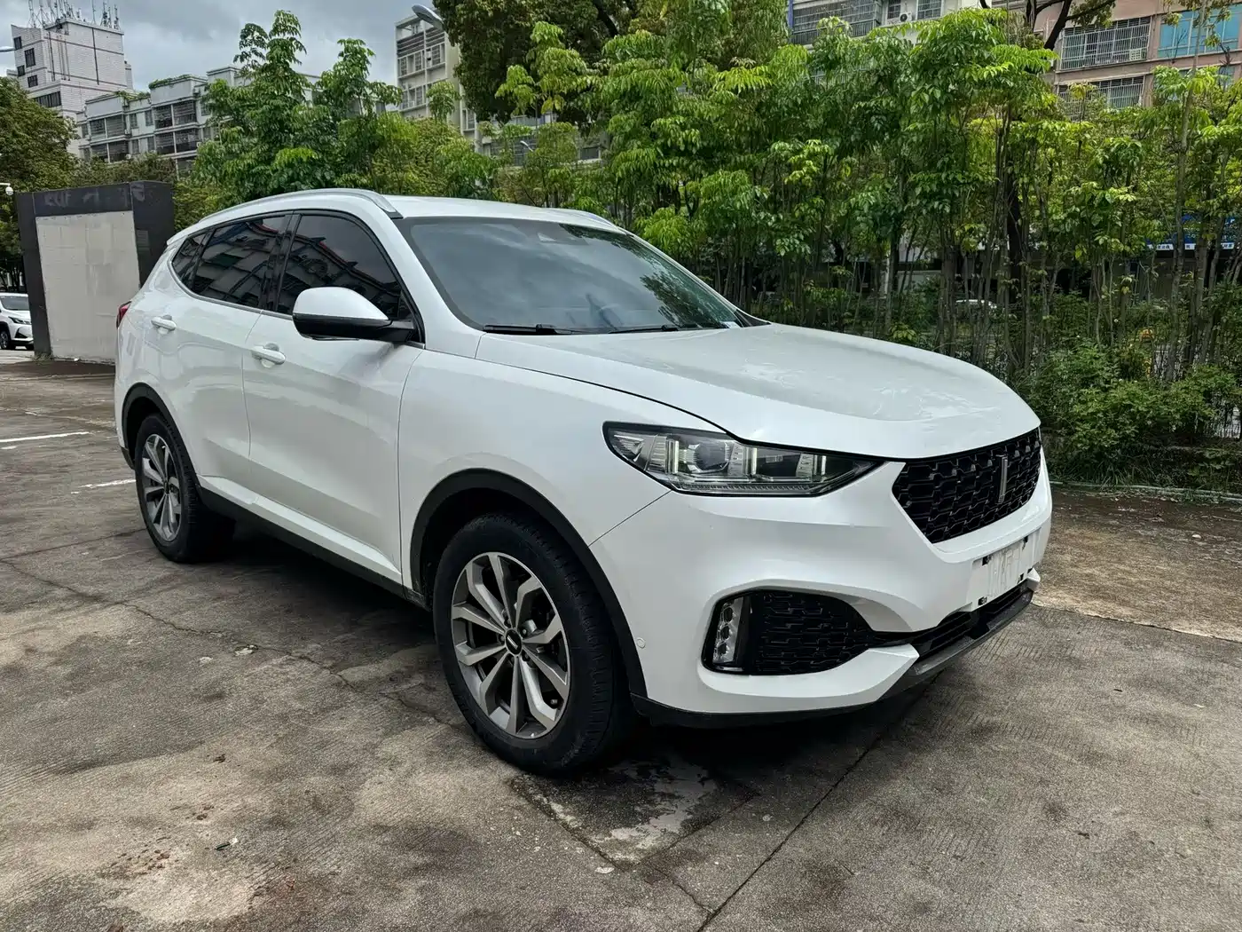 WEY VV6 2020 2018 2.0T 2WD Flagship China V