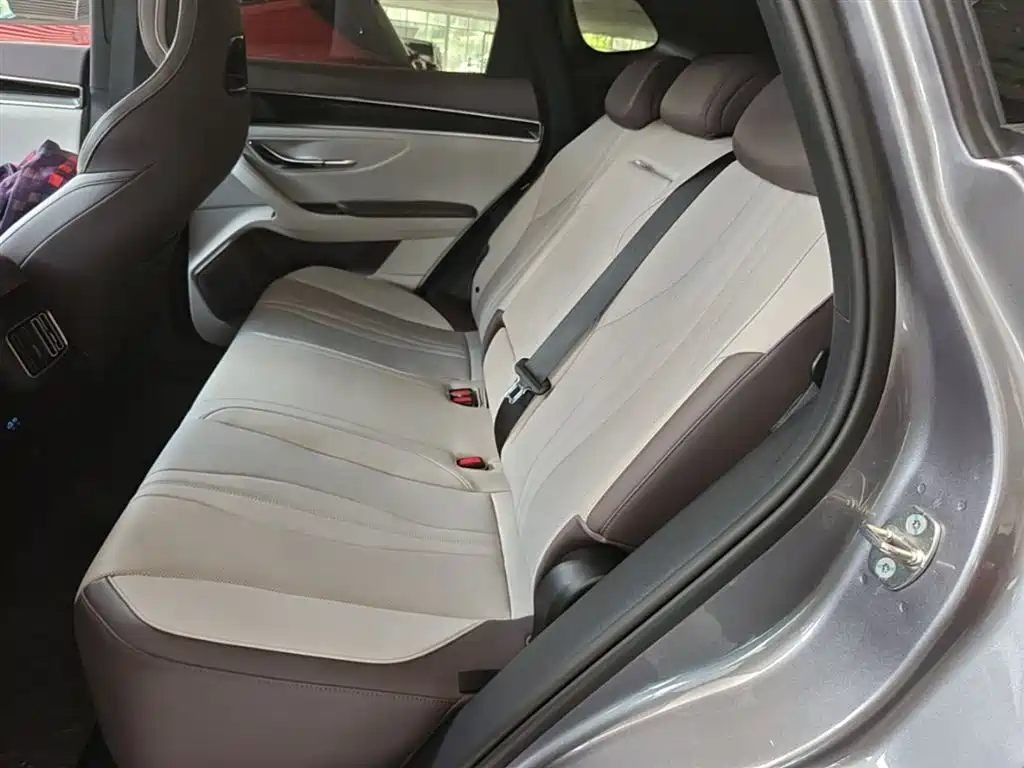 BYD Song PLUS PHEV 2025 DM-i 112KM Honor фото 16