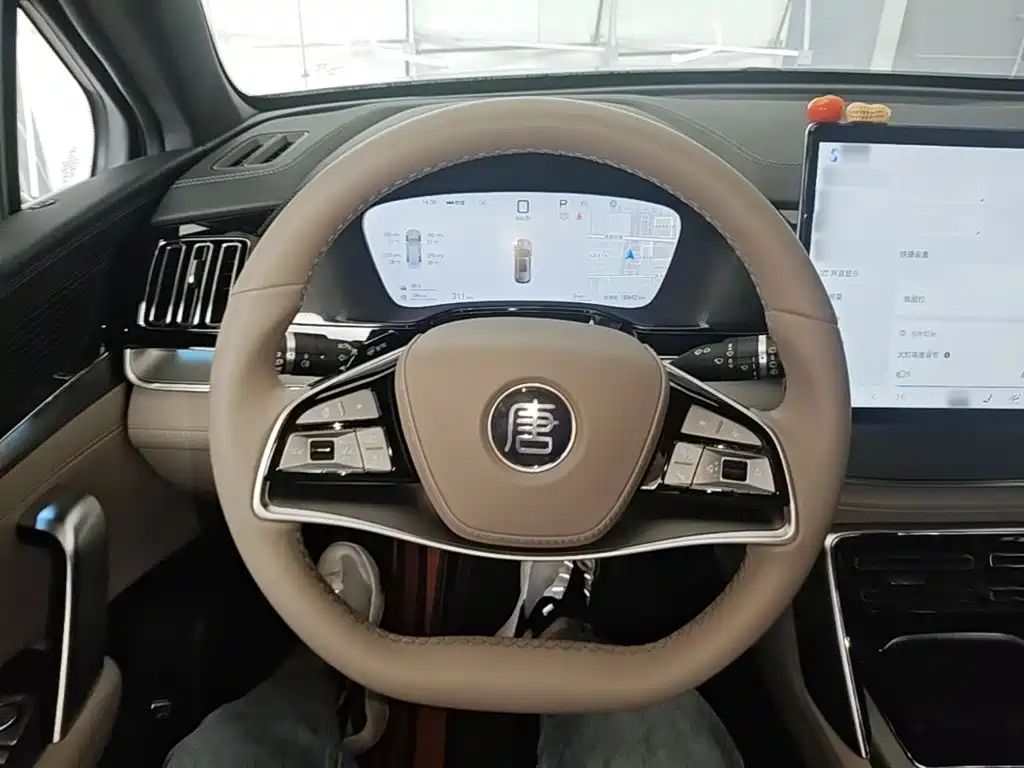 BYD Tang New Energy 2025 2025 Smart Driving Edition DM-i 115KM Premium