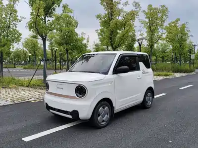 Geely Panda